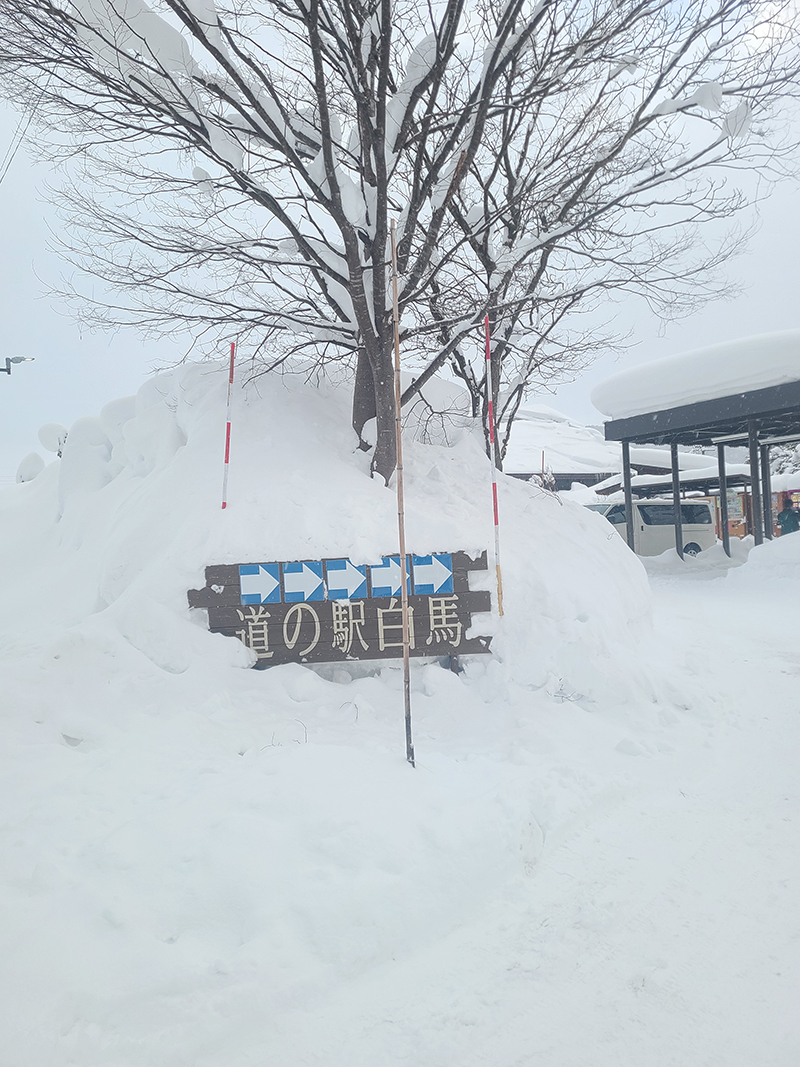 2024年度 関東版ガチャピンズラリー達成者