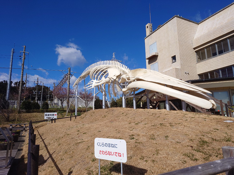 2024年度 関東版ガチャピンズラリー達成者