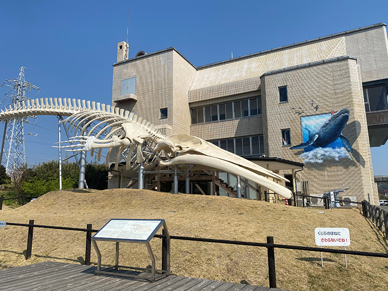 2024年度 関東版ガチャピンズラリー達成者