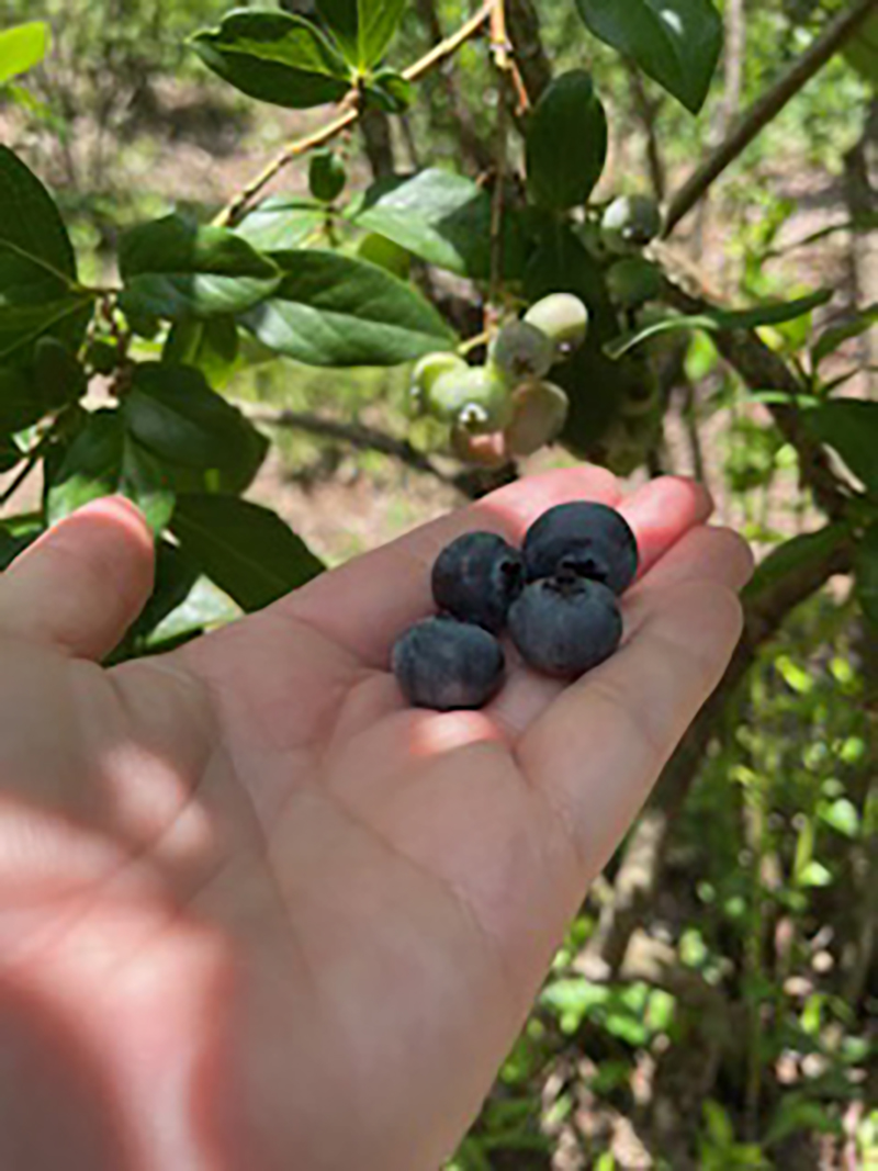 2024年度 関東版ガチャピンズラリー達成者