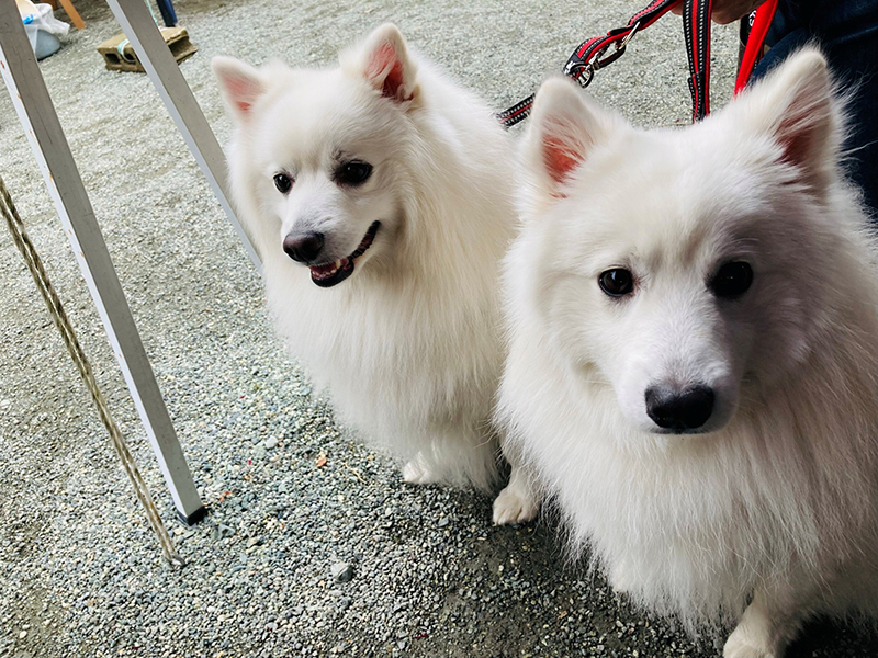 2025年度 関東版 ガチャピンズラリー達成者