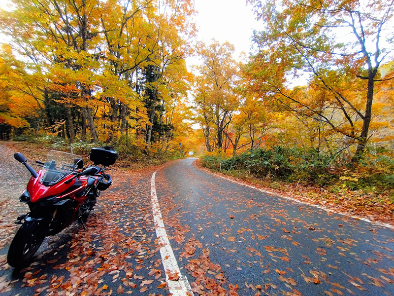 2025年度 関東版 ガチャピンズラリー達成者