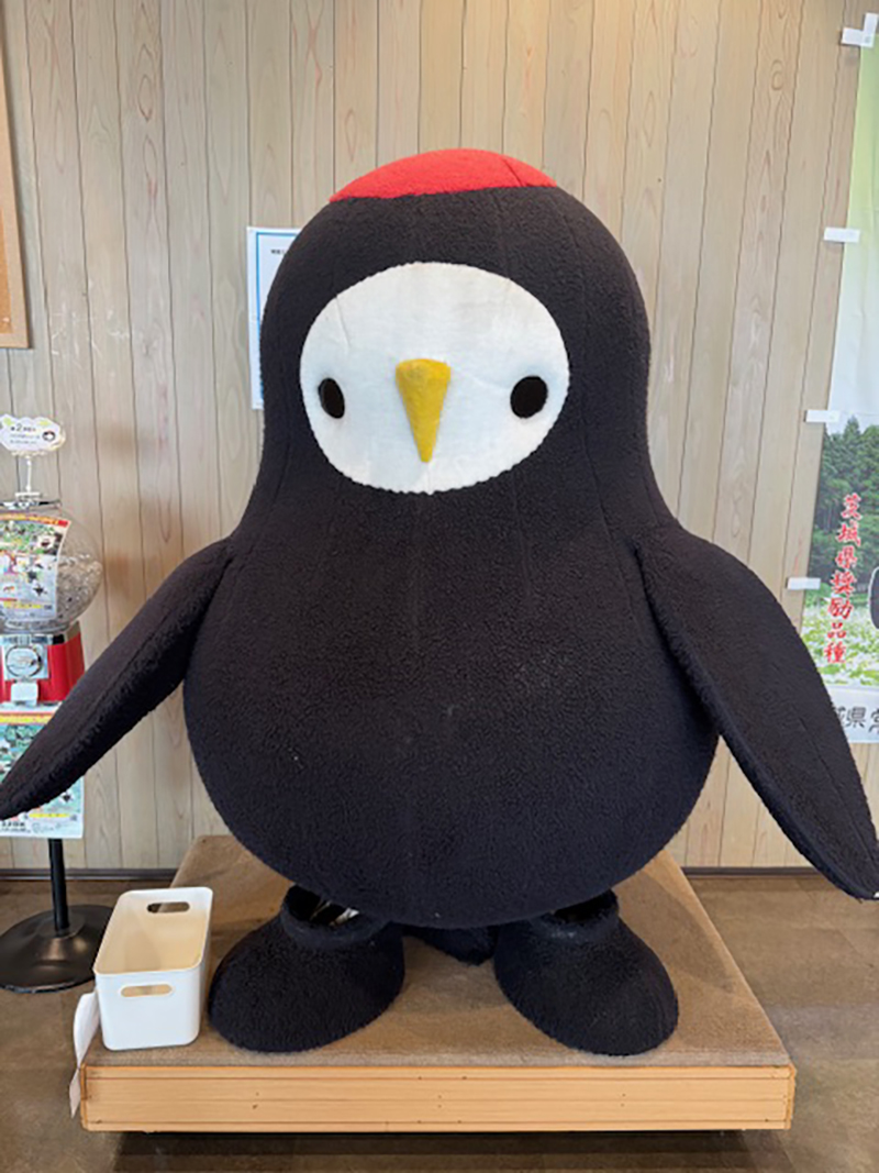 2025年度 関東版 ガチャピンズラリー達成者