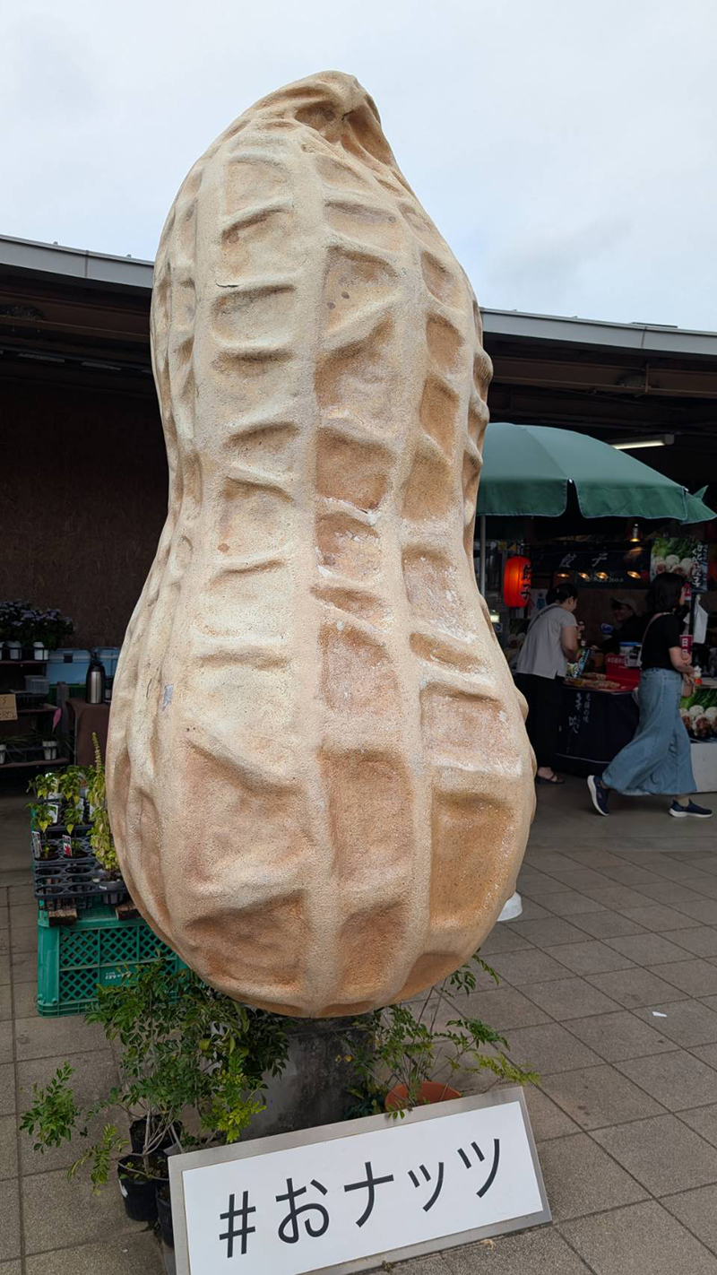 2025年度 関東版 ガチャピンズラリー達成者