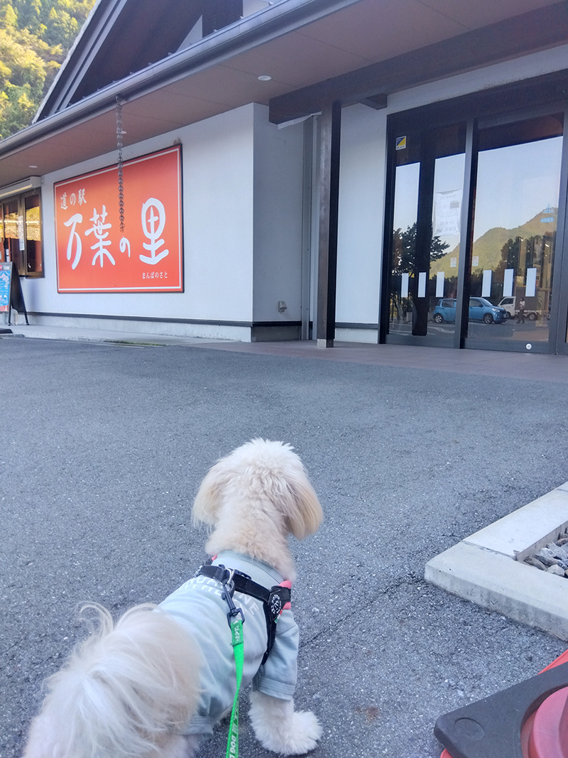 2025年度 関東版 ガチャピンズラリー達成者