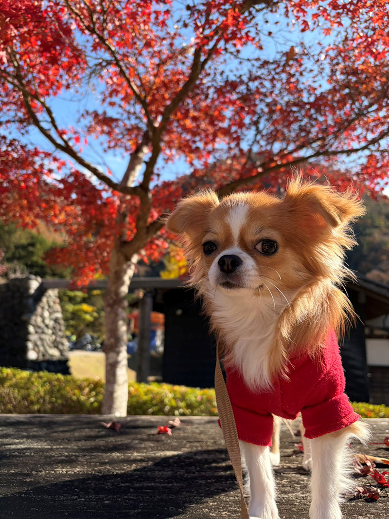 2025年度 関東版 ガチャピンズラリー達成者