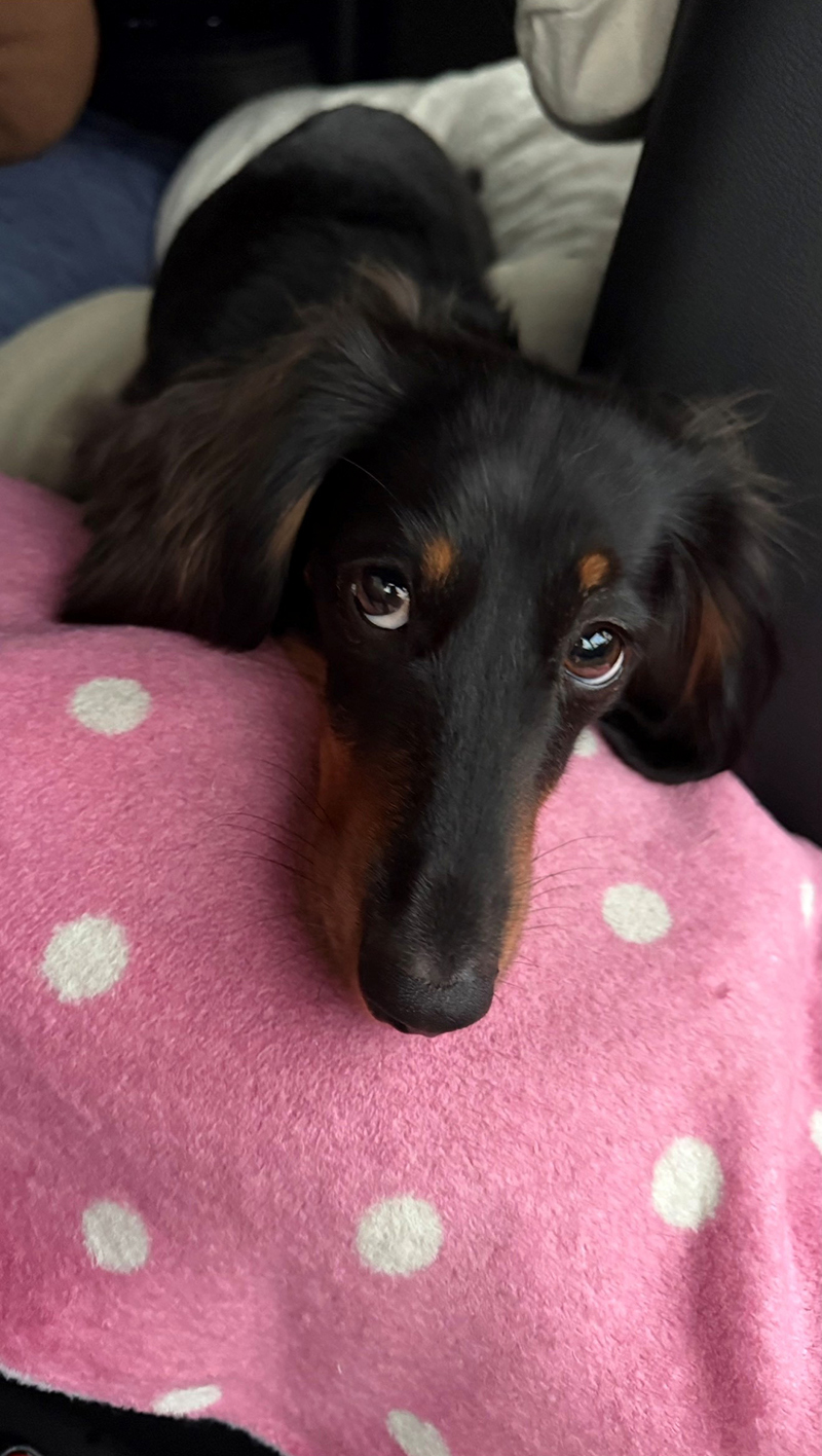 2025年度 関東版 ガチャピンズラリー達成者