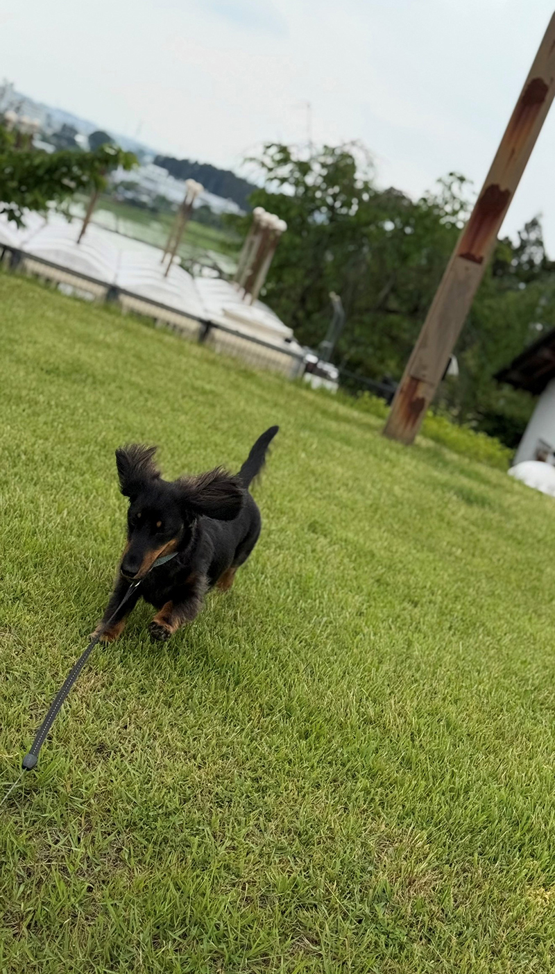 2025年度 関東版 ガチャピンズラリー達成者