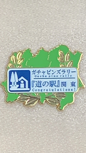 完全制覇記念品 完全制覇ピンズ