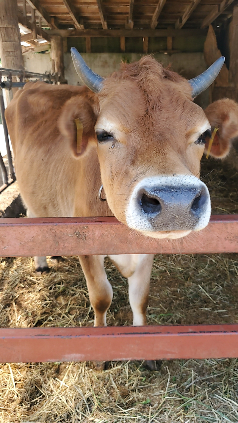 2024年度 長野版ガチャピンズラリー達成者