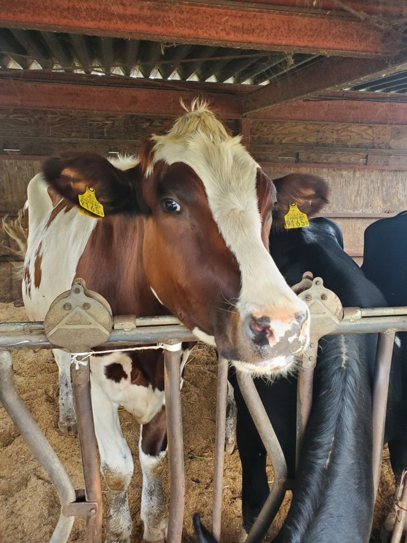 2024年度 長野版ガチャピンズラリー達成者