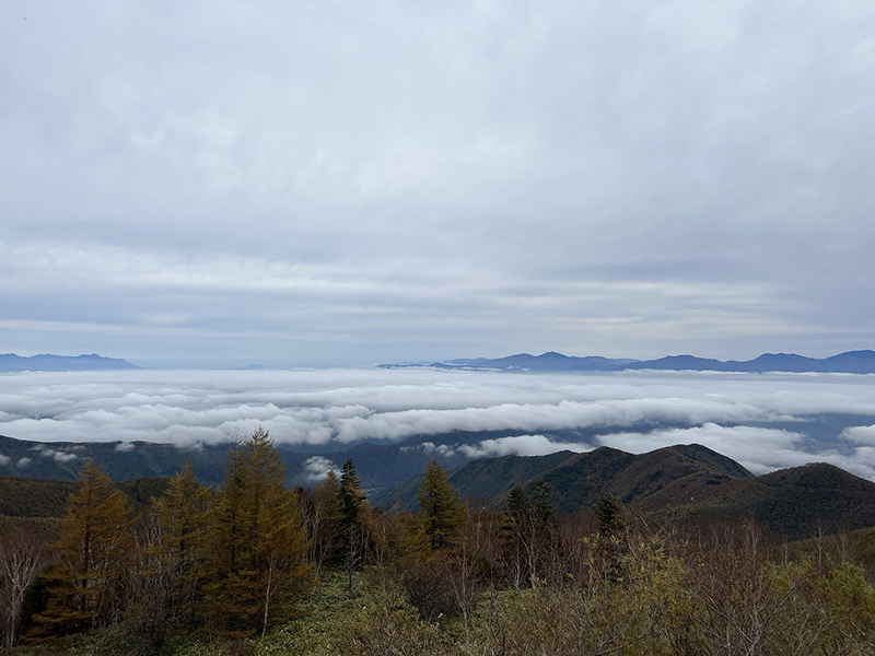 2024年度 長野版ガチャピンズラリー達成者