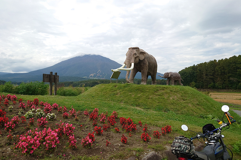 2024年度 長野版ガチャピンズラリー達成者