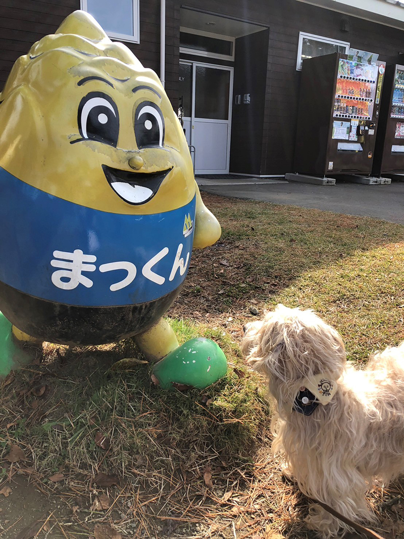 2024年度 長野版ガチャピンズラリー達成者