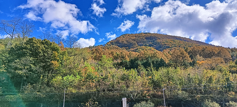 2024年度 長野版ガチャピンズラリー達成者