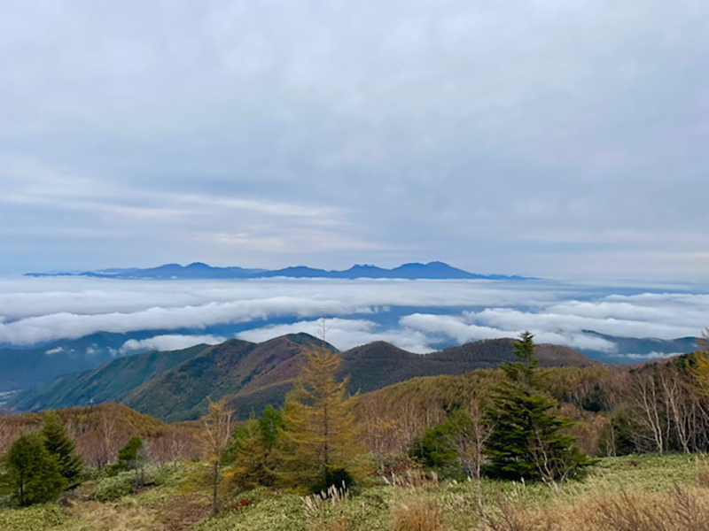 2024年度 長野版ガチャピンズラリー達成者