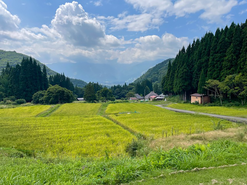 2024年度 長野版ガチャピンズラリー達成者