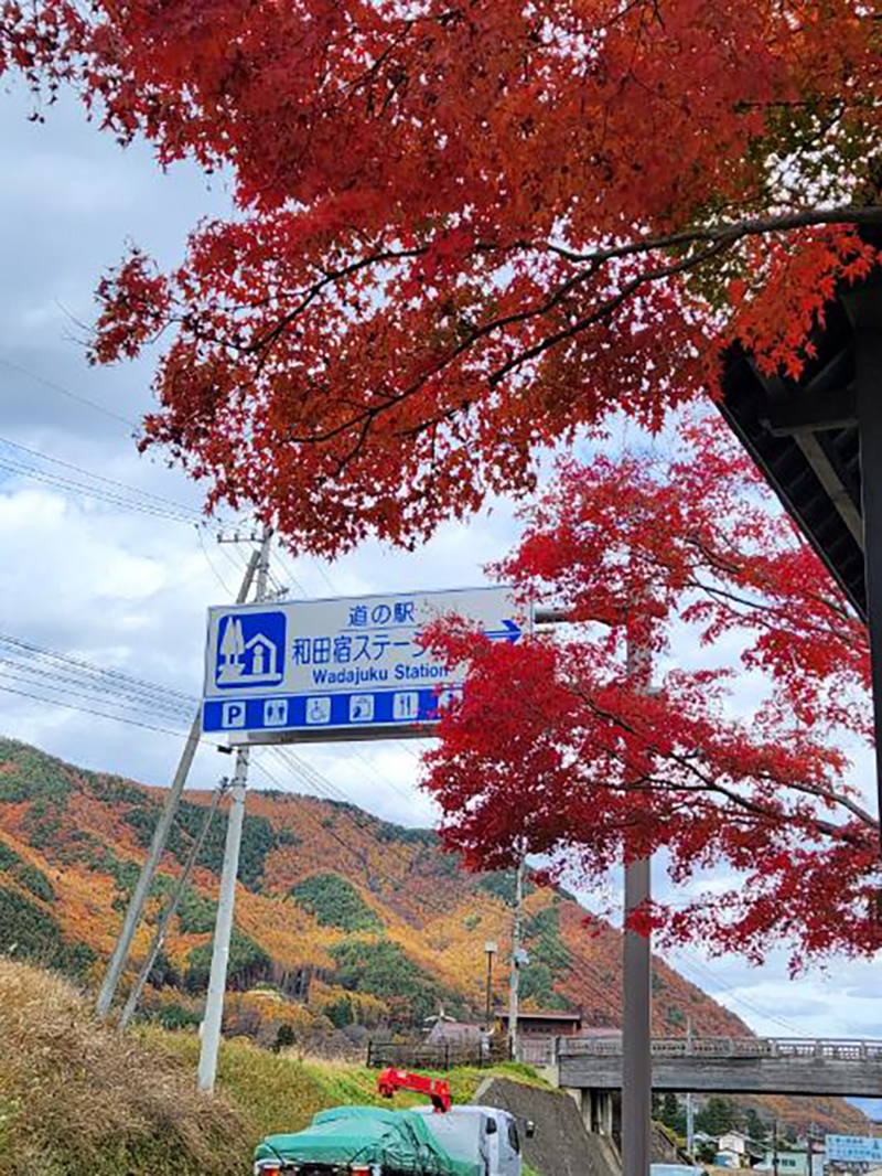2024年度 長野版ガチャピンズラリー達成者