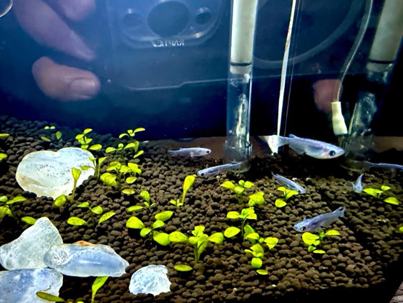 2025年度 長野版 ガチャピンズラリー達成者