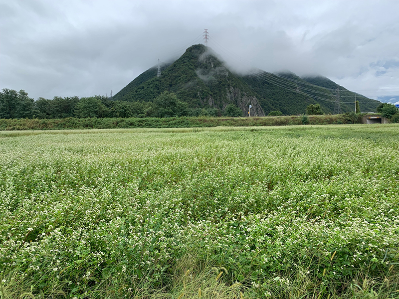 2025年度 長野版 ガチャピンズラリー達成者