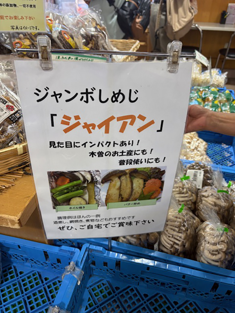 2025年度 長野版 ガチャピンズラリー達成者