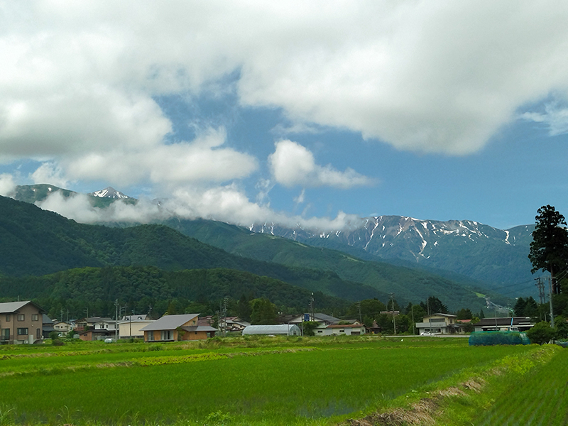 2025年度 長野版 ガチャピンズラリー達成者