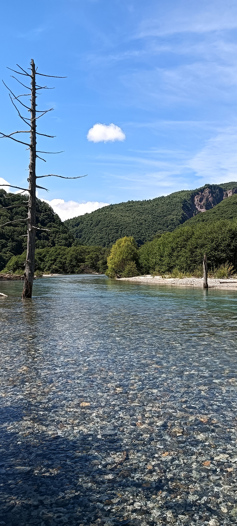 2025年度 長野版 ガチャピンズラリー達成者