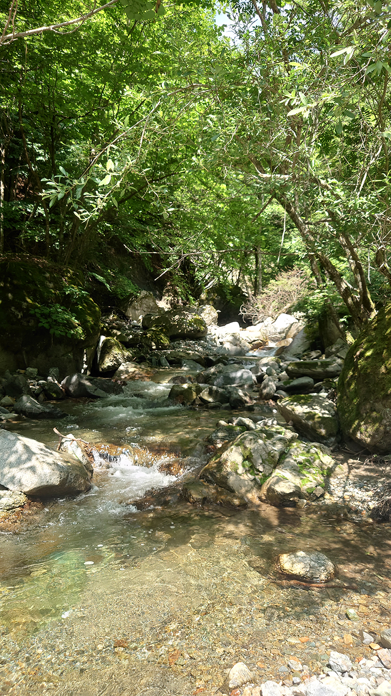 2025年度 長野版 ガチャピンズラリー達成者