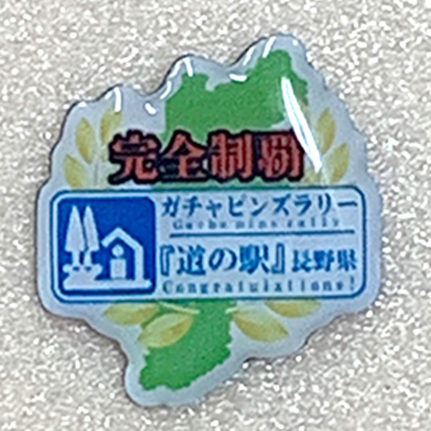 完全制覇記念品 完全制覇ピンズ