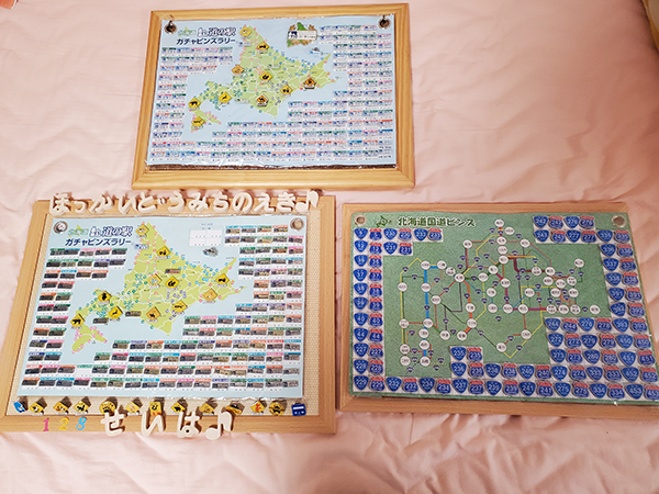 北海道国道ピンズ達成者