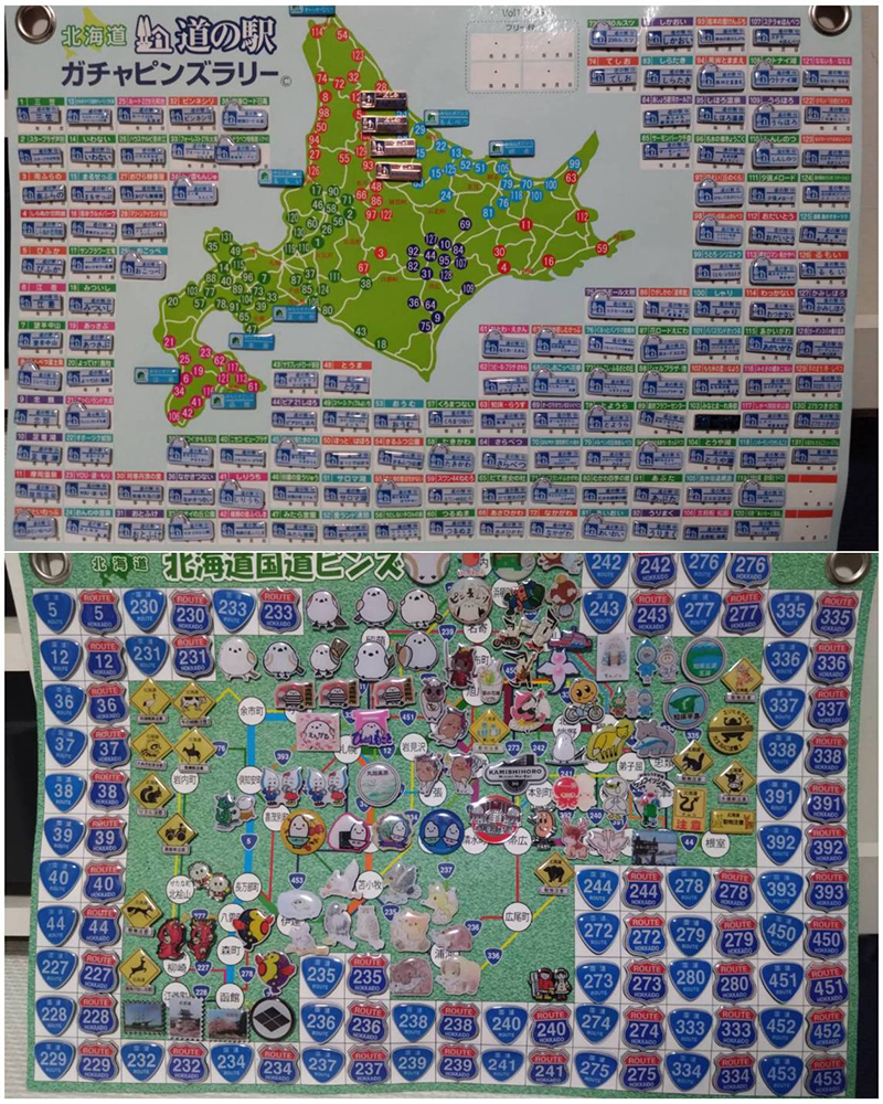北海道国道ピンズ達成者