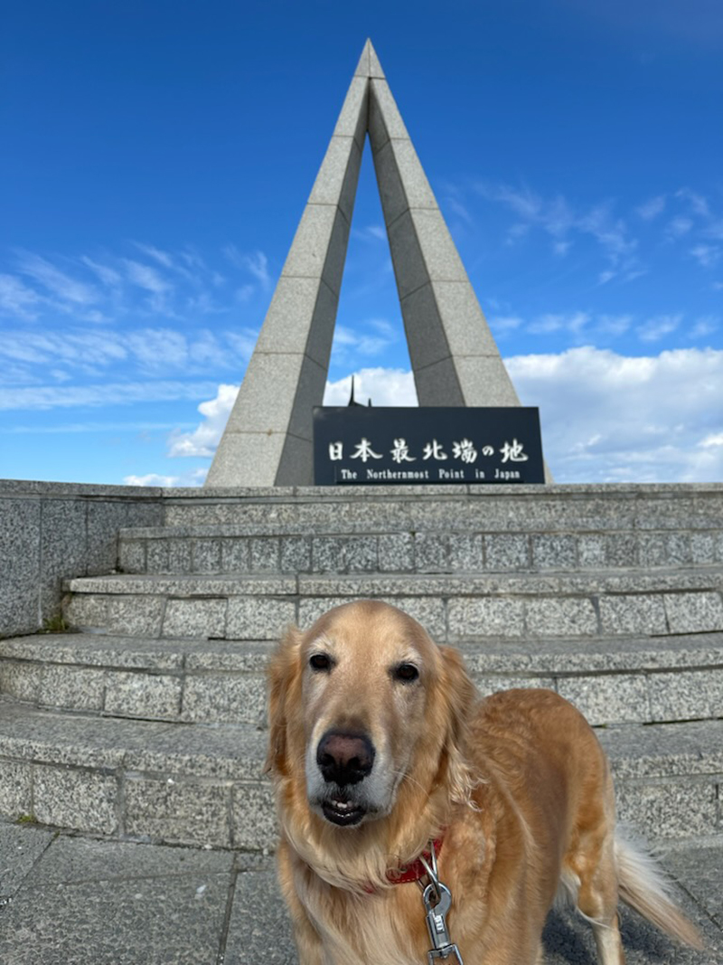 北海道国道ピンズ達成者