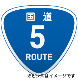 国道ピンズイメージ