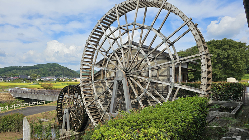 2023年度 栃木版 ガチャピンズラリー達成者