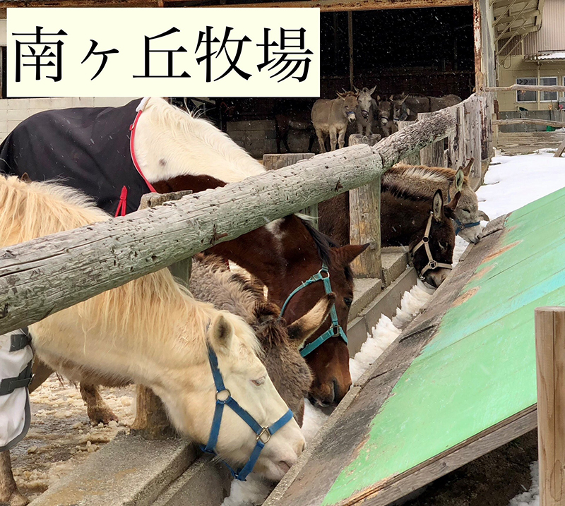 2023年度 栃木版 ガチャピンズラリー達成者