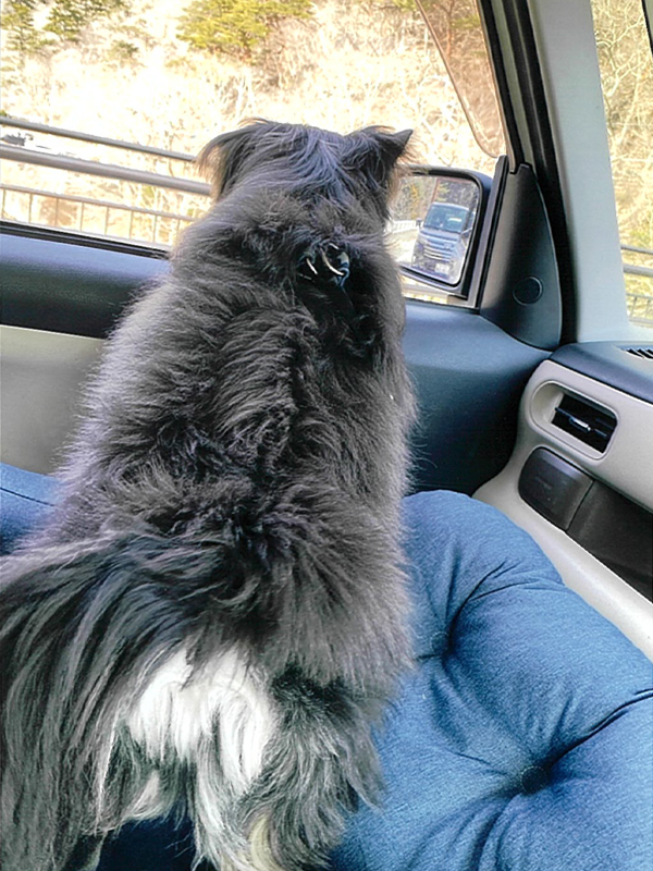 2023年度 栃木版 ガチャピンズラリー達成者