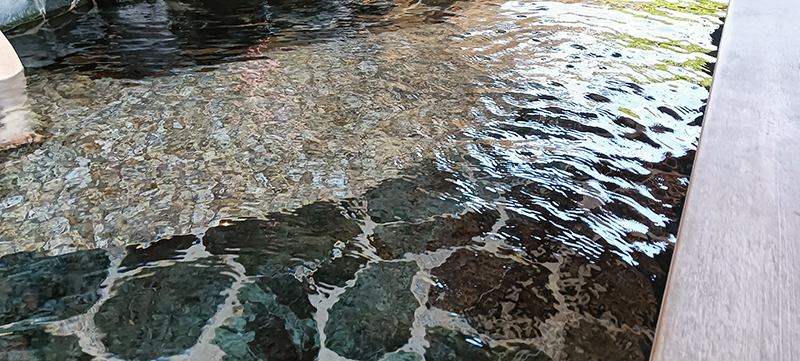 2024年度 栃木版ガチャピンズラリー達成者