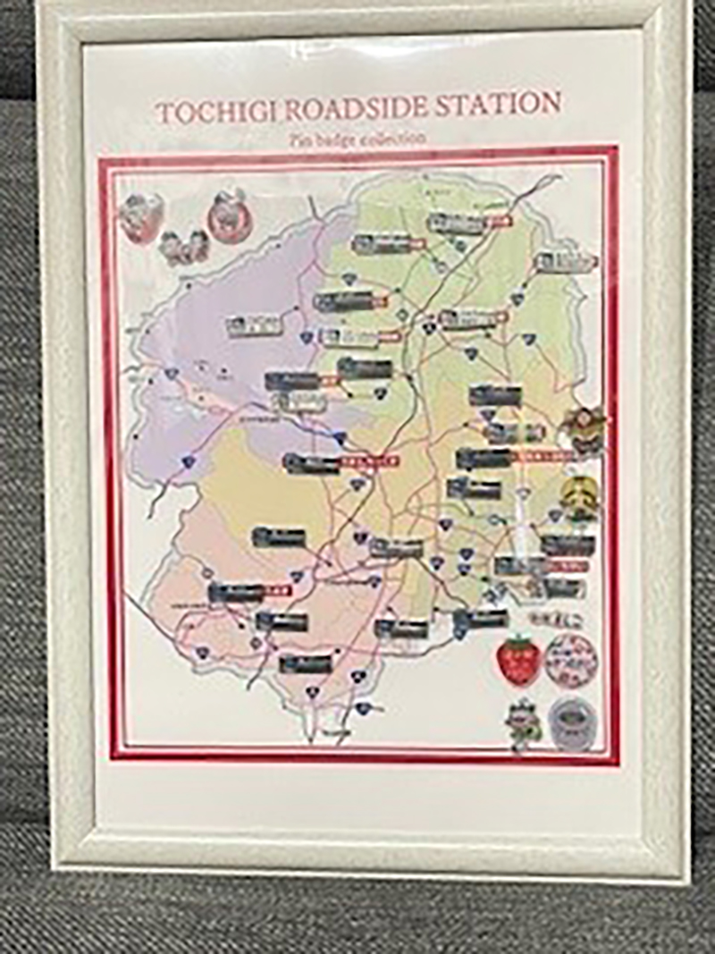 2024年度 栃木版ガチャピンズラリー達成者