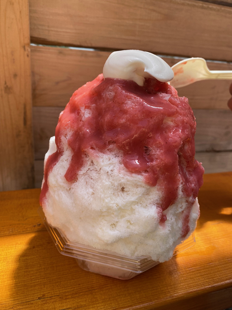 2024年度 栃木版ガチャピンズラリー達成者