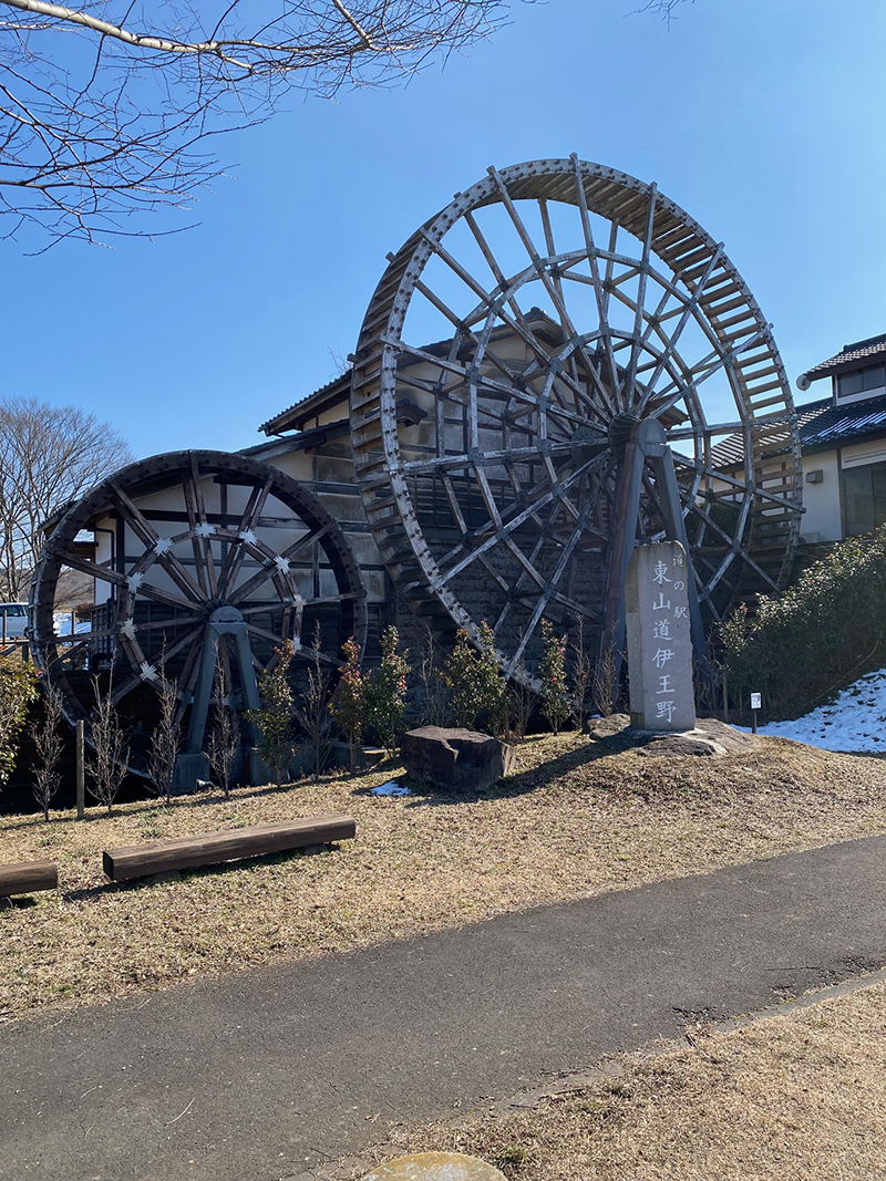 2024年度 栃木版ガチャピンズラリー達成者