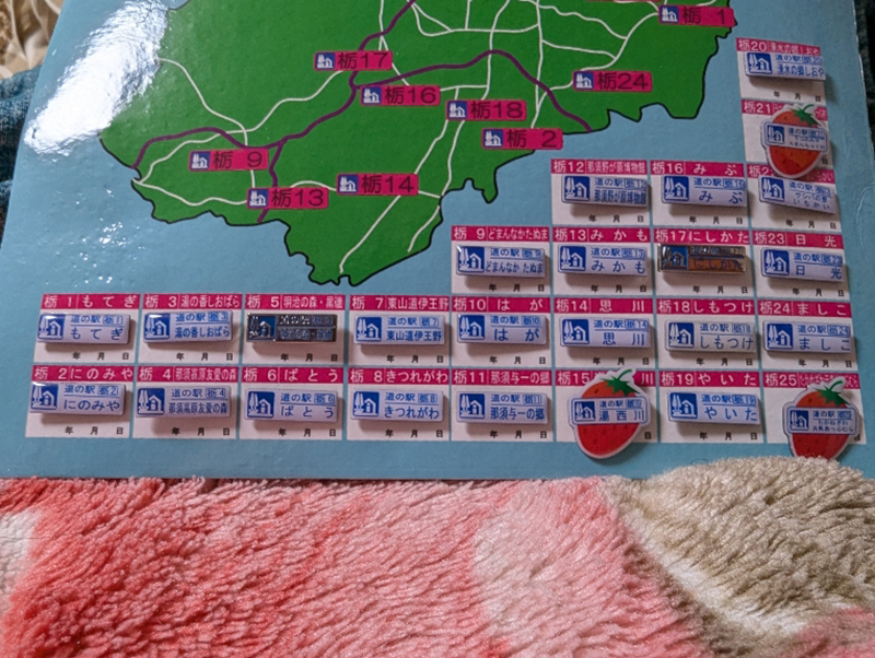 2024年度 栃木版ガチャピンズラリー達成者