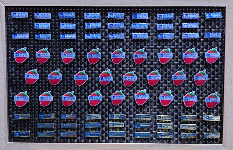 2024年度 栃木版ガチャピンズラリー達成者