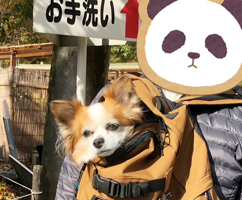 2024年度 栃木版ガチャピンズラリー達成者