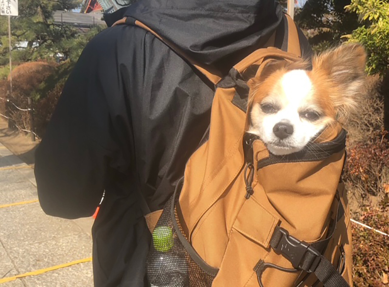 2024年度 栃木版ガチャピンズラリー達成者