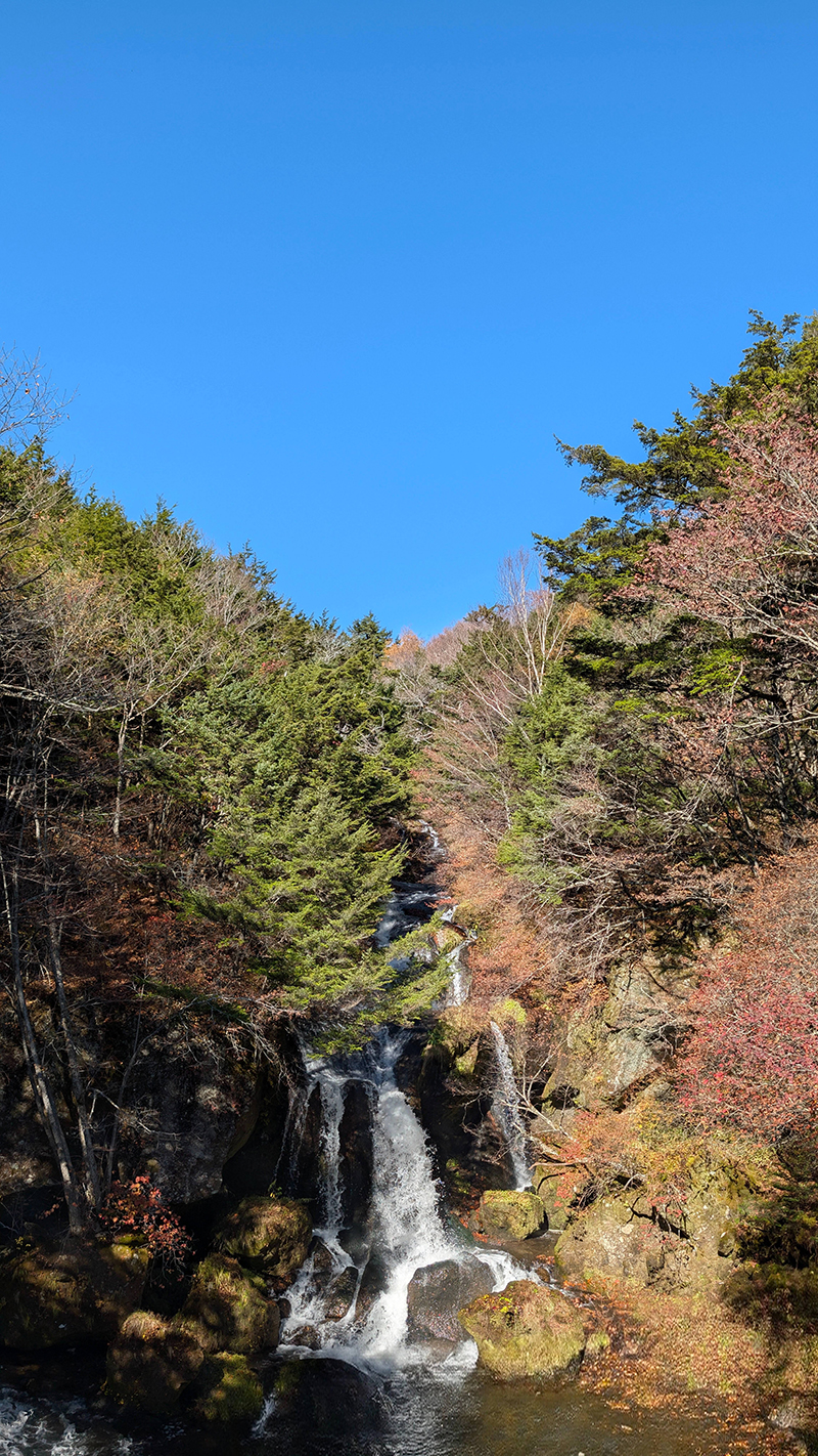 2025年度 栃木版 ガチャピンズラリー達成者