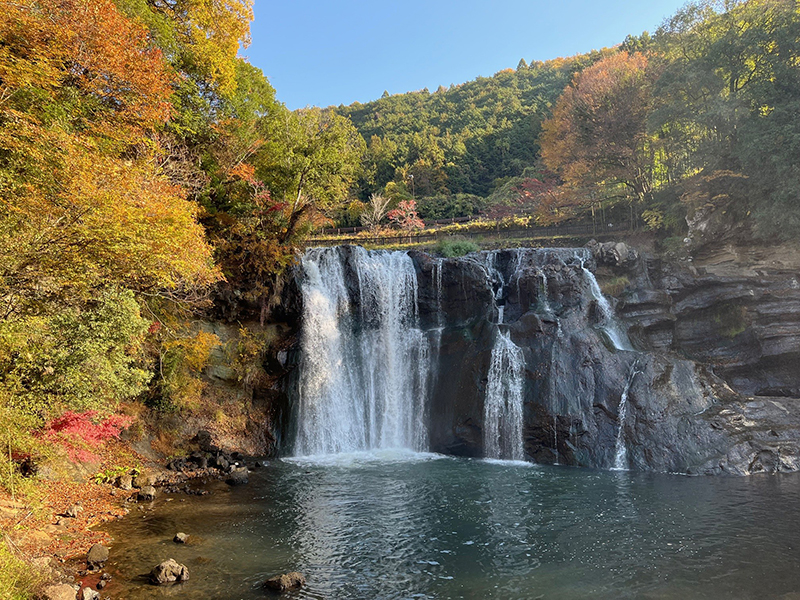 2025年度 栃木版 ガチャピンズラリー達成者