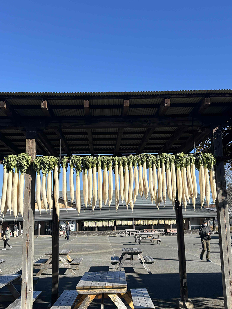 2025年度 栃木版 ガチャピンズラリー達成者