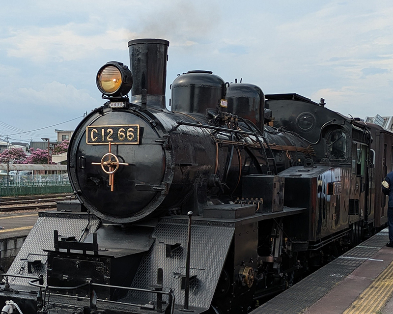 2025年度 栃木版 ガチャピンズラリー達成者