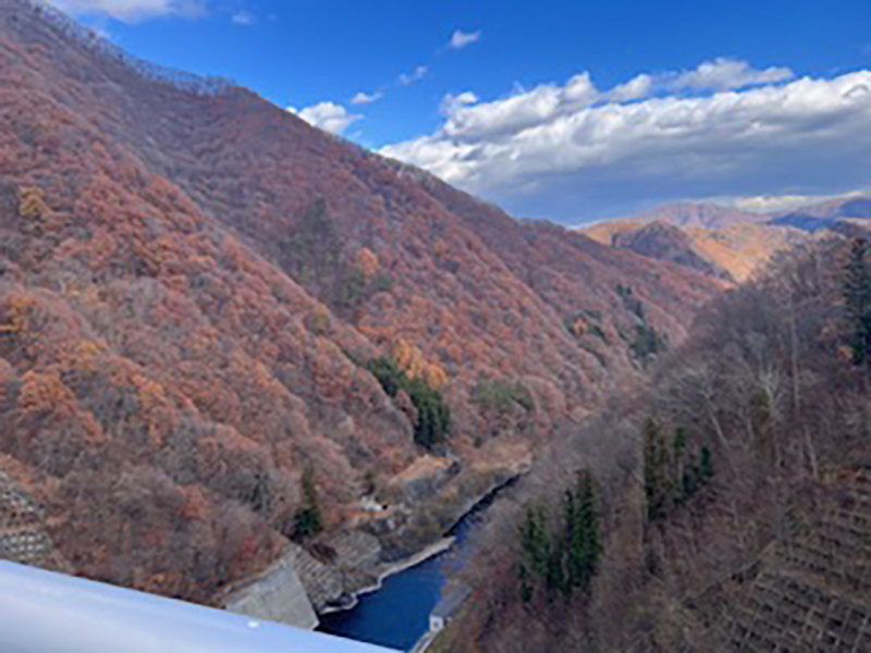 2025年度 栃木版 ガチャピンズラリー達成者