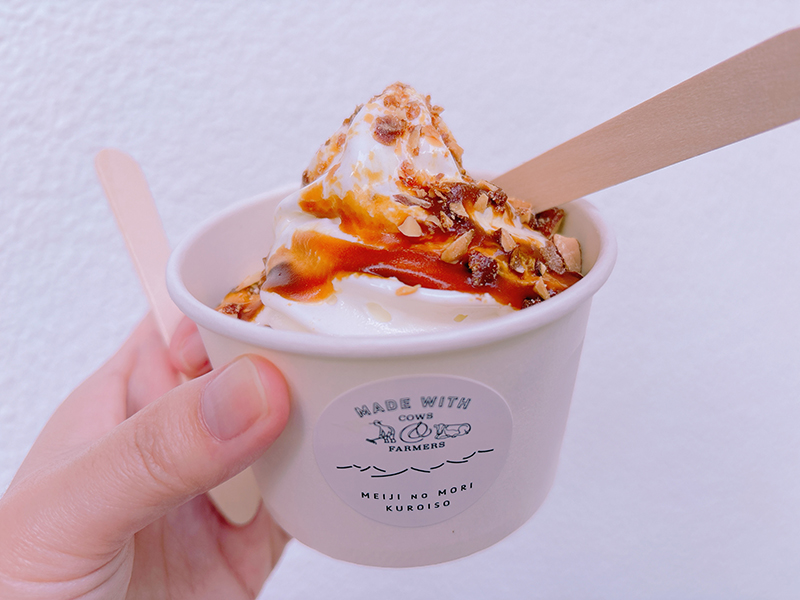 2025年度 栃木版 ガチャピンズラリー達成者